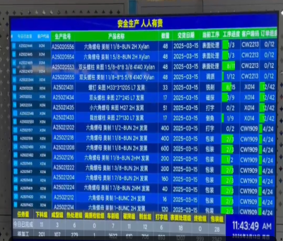 03 (8)